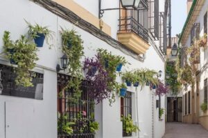 9-Day Tour: Madrid, Andalusia, Valencia & Barcelona from Madrid - Cordoba Mosque-Cathedral: One Stop You Should Save Your Energy For