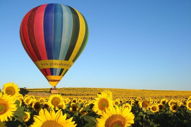 Balloon Ride Over Segovia or Toledo with Optional Transport from Madrid - Meeting point and dawn setup near Segovia’s Hospital General