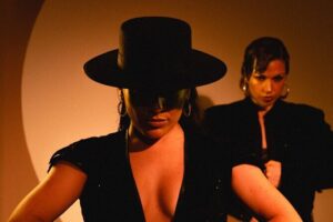 Centro Cultural Flamenco Madrid Admission Ticket - What you’ll see onstage: dance choices that make the night feel varied