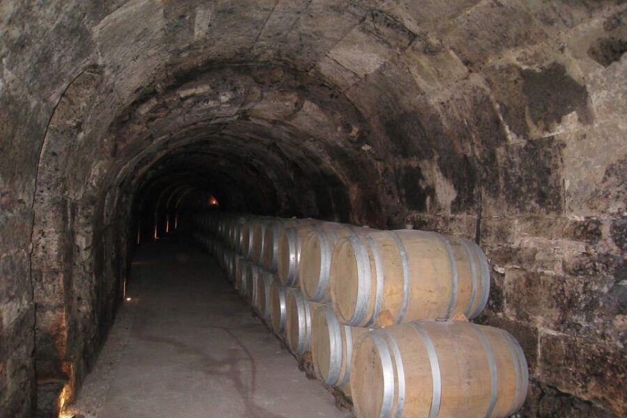 From Madrid: Ribera del Duero Tour of 3 Wineries w/ Tastings - Stop 3: the 16th-century underground cellar system