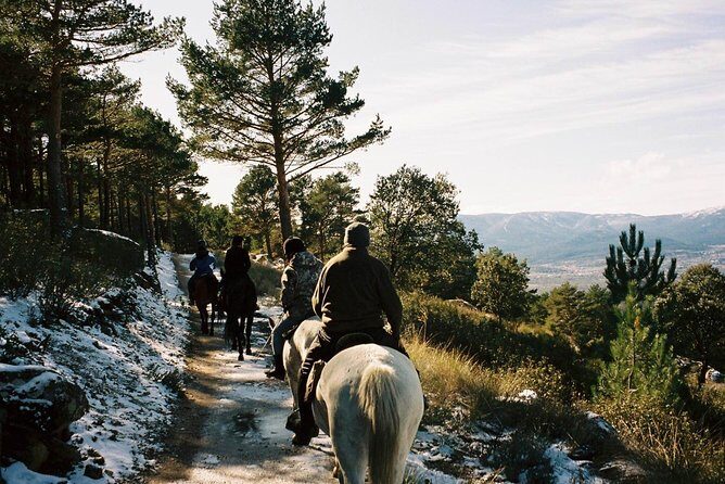 Horse Riding Madrid Natural Park - Key things to know before you ride