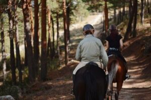 Horse Riding Madrid Natural Park - The 2.5-hour ride: what happens once you meet up