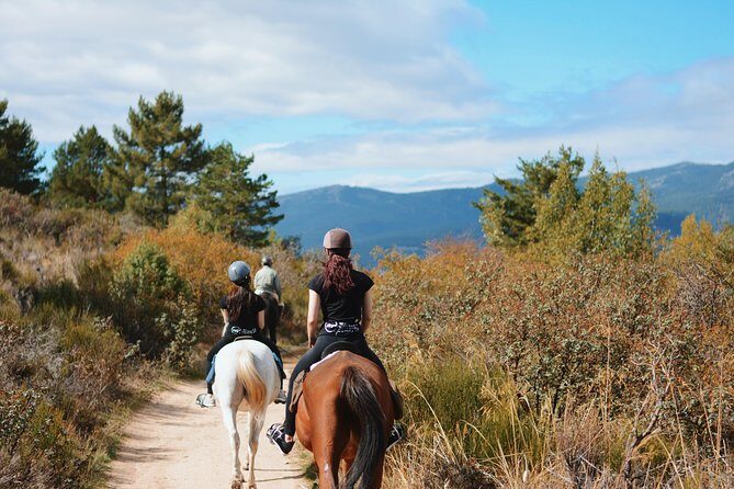 Horse Riding Madrid Natural Park - Price and value: is $90.74 worth it?