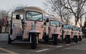 Madrid: City Tours - 6 seats private ecological tuk tuk - The tour’s big idea: Madrid of the Austrias to modern Madrid