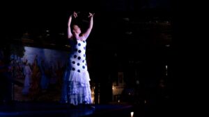 Madrid: Flamenco Show&Drink at Tablao 1911 (World's Oldest) - What Your Ticket Really Covers (and What It Doesn’t)
