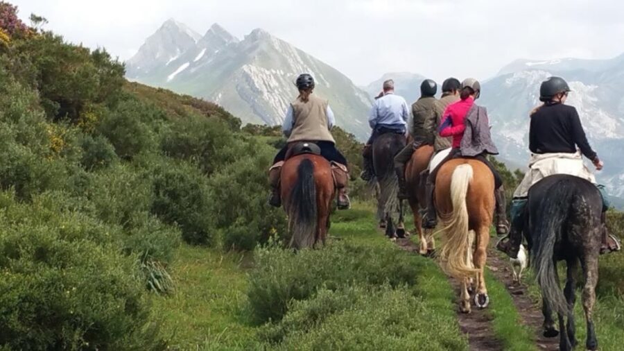 Madrid: Horse Riding in Sierra del Guadarrama National Park - The 2.5-hour flow: pickup, short drive, then 2 hours on trail