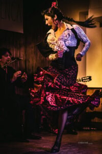 Madrid: Local Flamenco Show at El Cortijo - Pricing and what you truly get for about $22