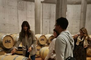 Premium Tour to Ribera del Duero with Wnologist Guide - Dominio de Cair: Avant-Garde Architecture, Subway Cellars, And Barrel Tastings