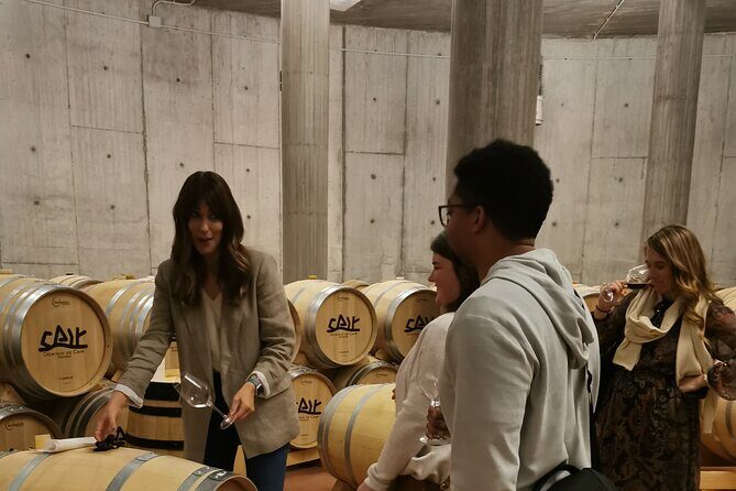 Premium Tour to Ribera del Duero with Wnologist Guide - Dominio de Cair: Avant-Garde Architecture, Subway Cellars, And Barrel Tastings