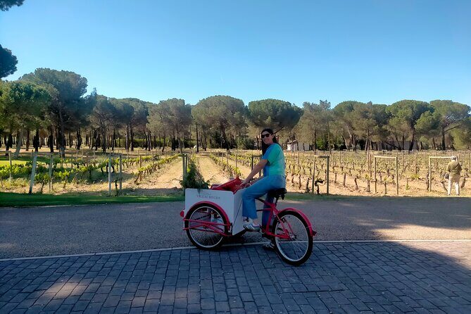 Ribera del Duero Tour: Three Wineries and Lunch from Madrid - Winery Stop 2: the family-run experience with underground cellar and barrel tasting