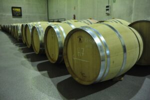 Ribera del Duero Wineries Guided Tour & Wine Tasting from Madrid - The morning drive: why the Duero river matters to your tasting