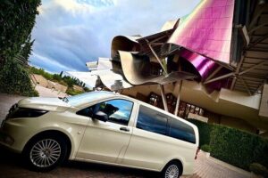Ribera del Duero:4 Wineries, tasting & Lunch included from Madrid - Getting to the wineries: early pickup, clean transport, and a full schedule