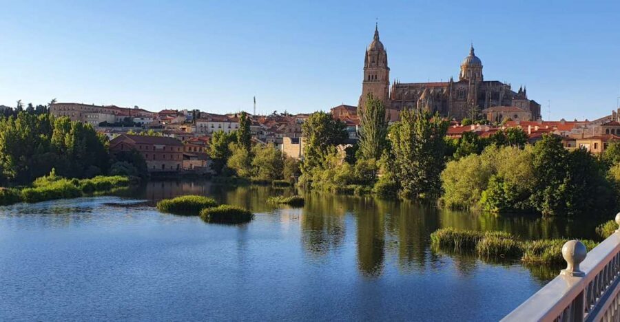 Salamanca: Private tour of the most important sites - Meeting up quickly: hotel pickup options that keep your day on track