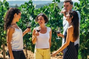 Toledo Tour & Vineyard Walk with Wine Tasting from Madrid - Jewish Quarter walking tour: how to use the guide time